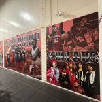 Walnut Wall Murals & Graphics wm gal 2 150x150